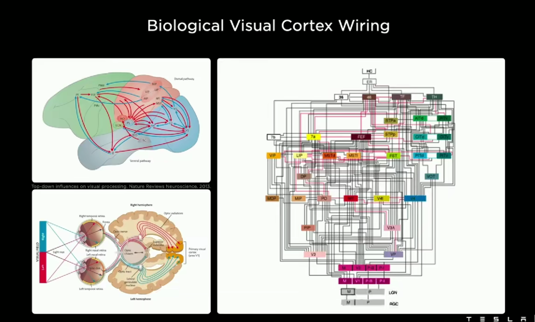 一颗雷达都不要!除了特斯拉,谁敢这么狂?休闲区蓝鸢梦想 - Www.slyday.coM 一颗雷达都不要!除了特斯拉,谁敢这么狂?休闲区蓝鸢梦想 - Www.slyday.coM