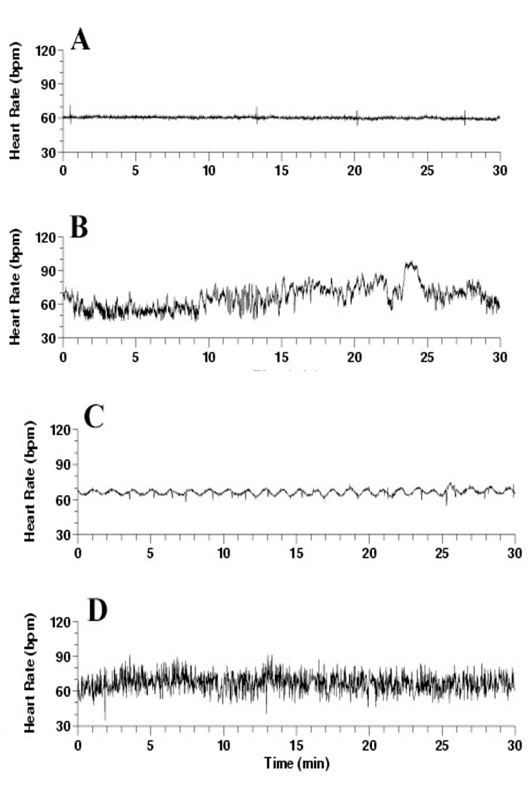 很多人对健康的理解,其实是错误的休闲区蓝鸢梦想 - Www.slyday.coM 很多人对健康的理解,其实是错误的休闲区蓝鸢梦想 - Www.slyday.coM
