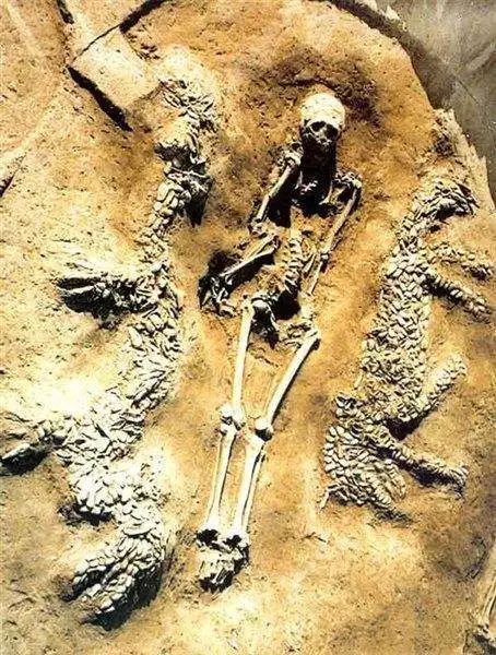 聚焦第五届中国杂技艺术节休闲区蓝鸢梦想 - Www.slyday.coM 聚焦第五届中国杂技艺术节休闲区蓝鸢梦想 - Www.slyday.coM