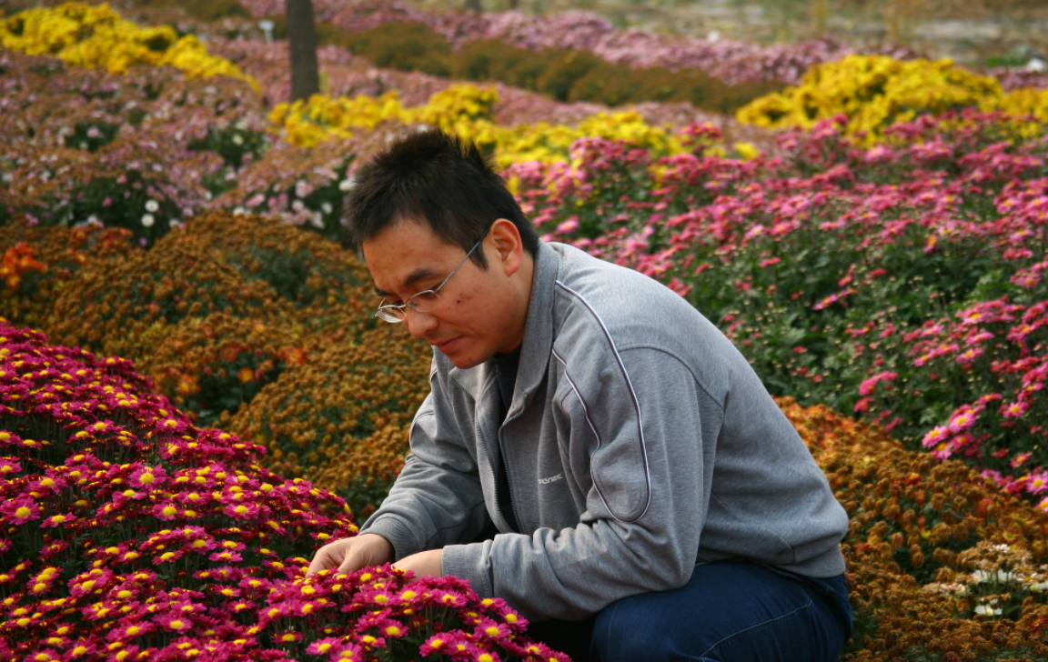 北京林业大学迎70周年校庆,60余种“京培”植物新品献礼休闲区蓝鸢梦想 - Www.slyday.coM 北京林业大学迎70周年校庆,60余种“京培”植物新品献礼休闲区蓝鸢梦想 - Www.slyday.coM
