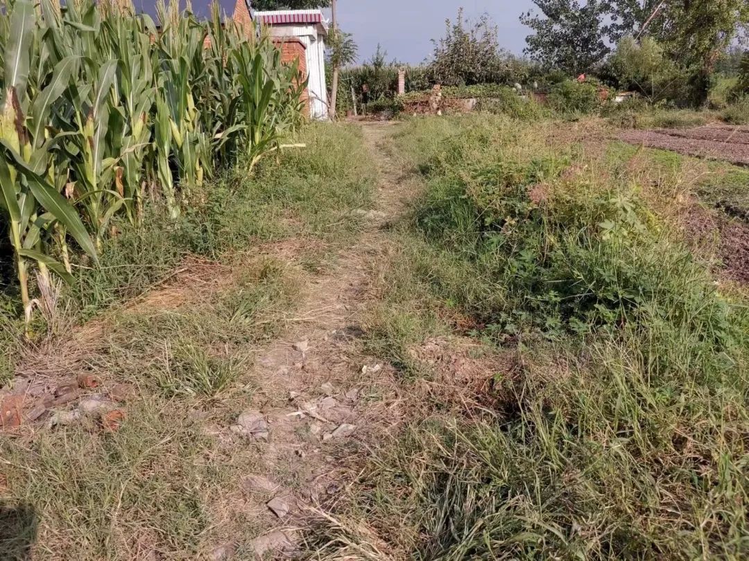 “我没有双臂,但我很感谢拥抱我的人”休闲区蓝鸢梦想 - Www.slyday.coM “我没有双臂,但我很感谢拥抱我的人”休闲区蓝鸢梦想 - Www.slyday.coM