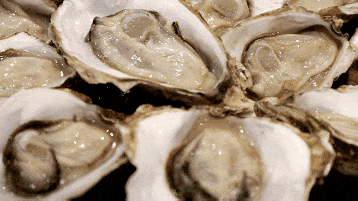 一口入魂的湛江带壳生蚝堆成山!今晚八点半,就在广西玉林这家店!休闲区蓝鸢梦想 - Www.slyday.coM 一口入魂的湛江带壳生蚝堆成山!今晚八点半,就在广西玉林这家店!休闲区蓝鸢梦想 - Www.slyday.coM