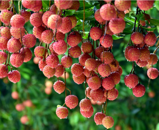 “我对惠州的100种表白”,快来和我们一起用爱表白这座城!休闲区蓝鸢梦想 - Www.slyday.coM “我对惠州的100种表白”,快来和我们一起用爱表白这座城!休闲区蓝鸢梦想 - Www.slyday.coM