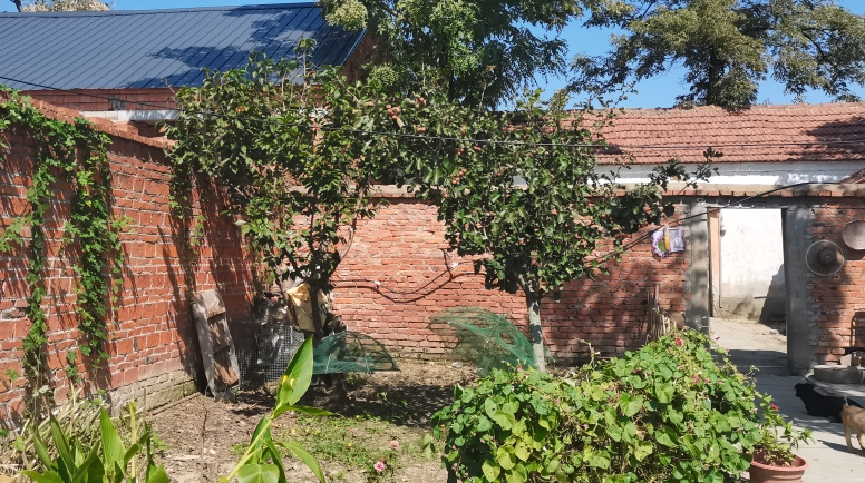 “我没有双臂,但我很感谢拥抱我的人”休闲区蓝鸢梦想 - Www.slyday.coM “我没有双臂,但我很感谢拥抱我的人”休闲区蓝鸢梦想 - Www.slyday.coM