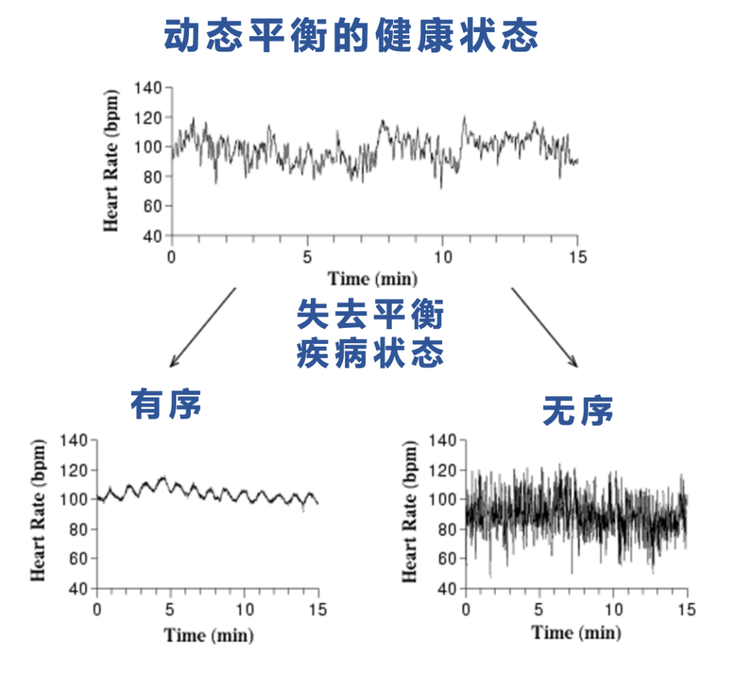 很多人对健康的理解,其实是错误的休闲区蓝鸢梦想 - Www.slyday.coM 很多人对健康的理解,其实是错误的休闲区蓝鸢梦想 - Www.slyday.coM