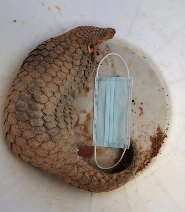 野生动物闯入工地,警民上演放生接力休闲区蓝鸢梦想 - Www.slyday.coM 野生动物闯入工地,警民上演放生接力休闲区蓝鸢梦想 - Www.slyday.coM