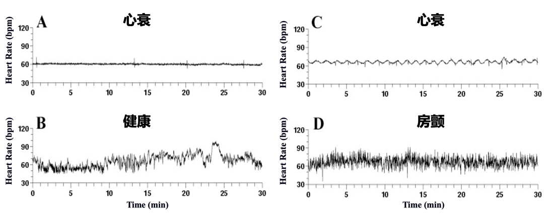 很多人对健康的理解,其实是错误的休闲区蓝鸢梦想 - Www.slyday.coM 很多人对健康的理解,其实是错误的休闲区蓝鸢梦想 - Www.slyday.coM