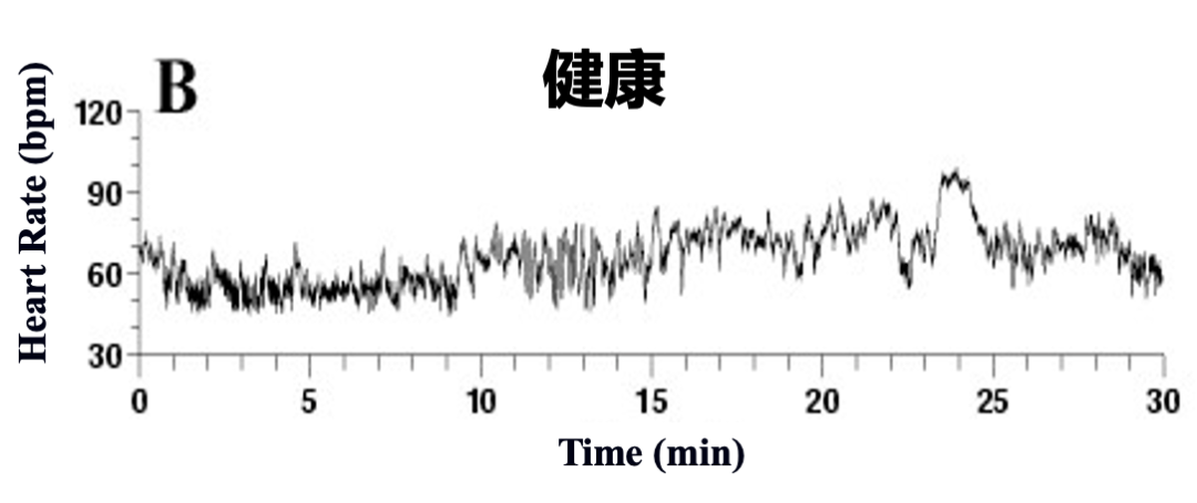 很多人对健康的理解,其实是错误的休闲区蓝鸢梦想 - Www.slyday.coM 很多人对健康的理解,其实是错误的休闲区蓝鸢梦想 - Www.slyday.coM