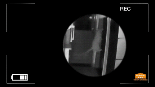 当你养了两只爱拆家的猫咪……休闲区蓝鸢梦想 - Www.slyday.coM 当你养了两只爱拆家的猫咪……休闲区蓝鸢梦想 - Www.slyday.coM