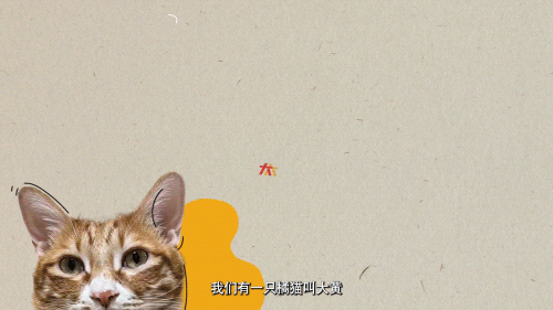 当你养了两只爱拆家的猫咪……休闲区蓝鸢梦想 - Www.slyday.coM 当你养了两只爱拆家的猫咪……休闲区蓝鸢梦想 - Www.slyday.coM