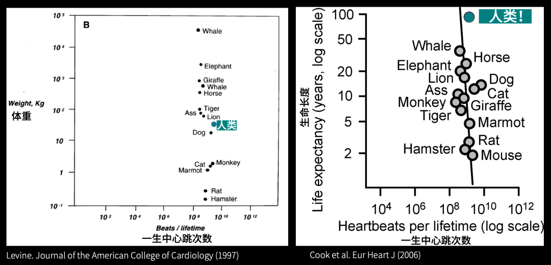 很多人对健康的理解,其实是错误的休闲区蓝鸢梦想 - Www.slyday.coM 很多人对健康的理解,其实是错误的休闲区蓝鸢梦想 - Www.slyday.coM