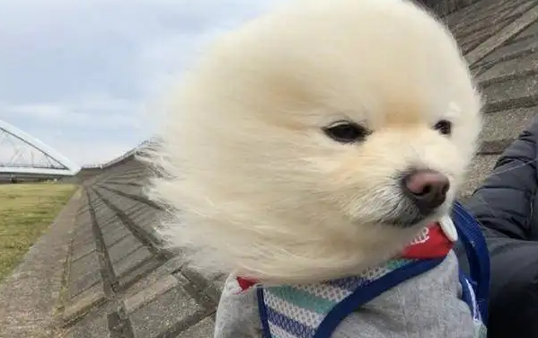 秋高气爽!接下来的天气将会是这样……休闲区蓝鸢梦想 - Www.slyday.coM 秋高气爽!接下来的天气将会是这样……休闲区蓝鸢梦想 - Www.slyday.coM