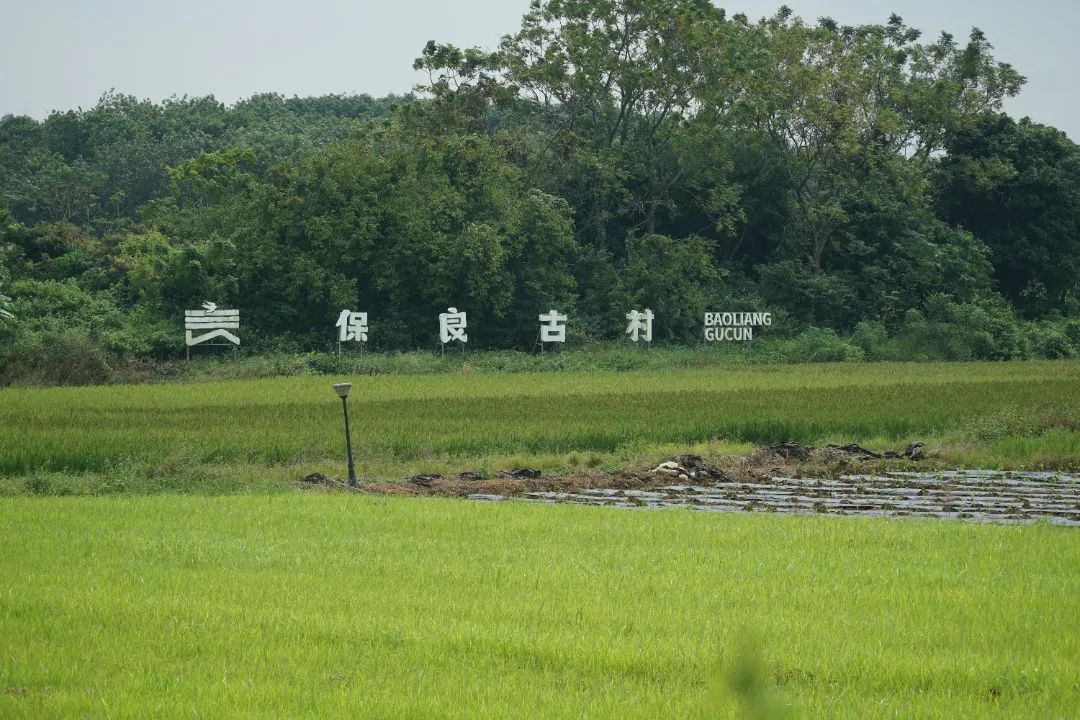 我和秋天有个约定 体味澄迈自然之美 “幸福澄迈 听众招募游活动”正式启动休闲区蓝鸢梦想 - Www.slyday.coM 我和秋天有个约定 体味澄迈自然之美 “幸福澄迈 听众招募游活动”正式启动休闲区蓝鸢梦想 - Www.slyday.coM