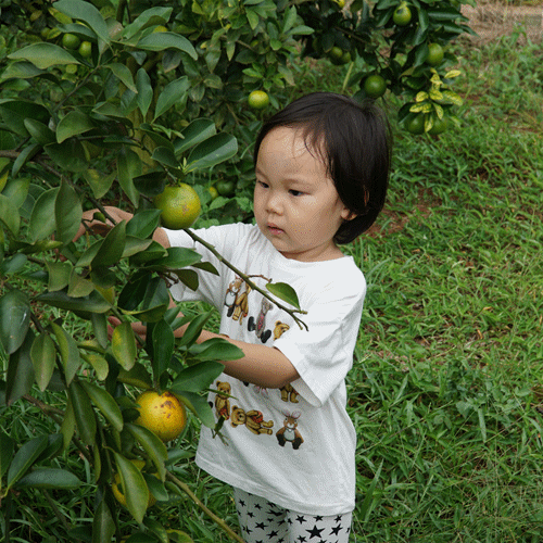 我和秋天有个约定 体味澄迈自然之美 “幸福澄迈 听众招募游活动”正式启动休闲区蓝鸢梦想 - Www.slyday.coM 我和秋天有个约定 体味澄迈自然之美 “幸福澄迈 听众招募游活动”正式启动休闲区蓝鸢梦想 - Www.slyday.coM