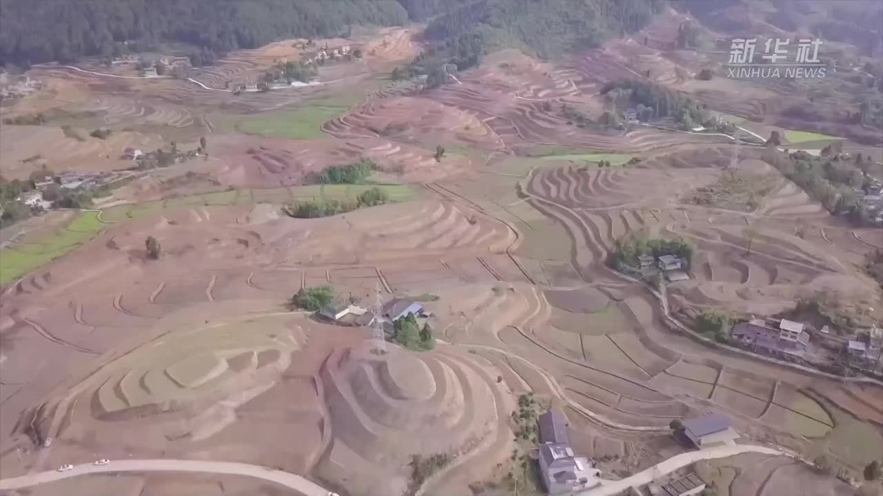 重庆：丘陵山区高标准农田改造启动 筑牢粮食生产基础|重庆市|郑健龙_新浪新闻