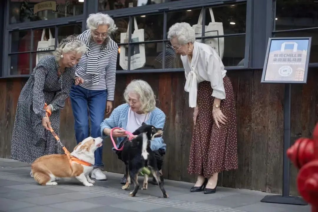 优雅永不过时,银发奶奶街头拍时尚大片休闲区蓝鸢梦想 - Www.slyday.coM 优雅永不过时,银发奶奶街头拍时尚大片休闲区蓝鸢梦想 - Www.slyday.coM