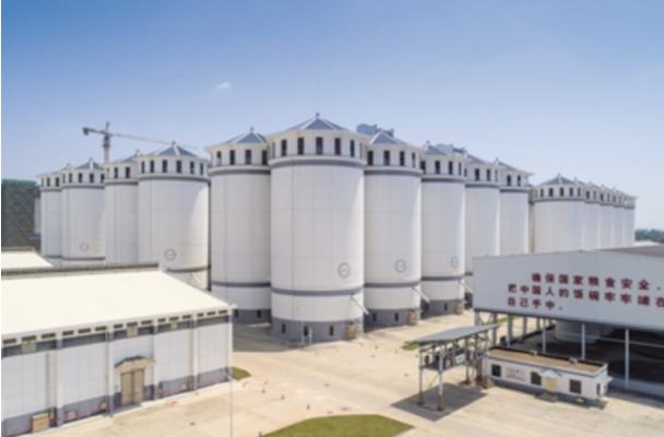 探营佛山粮食储备库,守好佛山人的“米袋子”休闲区蓝鸢梦想 - Www.slyday.coM 探营佛山粮食储备库,守好佛山人的“米袋子”休闲区蓝鸢梦想 - Www.slyday.coM