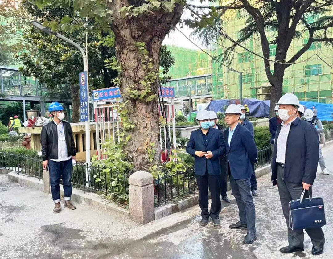 上海供卵卵子库（青岛市卫生健康委对新冠肺炎救治能力提升项目建设情况进行督导检查）