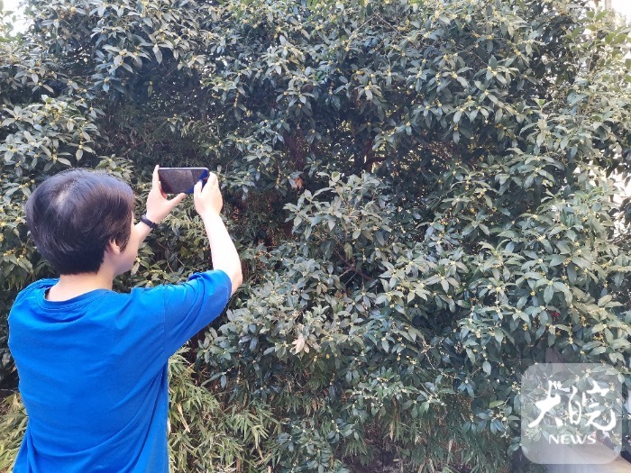 冷空气和台风南北夹击 安徽将迎来大风降温天气休闲区蓝鸢梦想 - Www.slyday.coM 冷空气和台风南北夹击 安徽将迎来大风降温天气休闲区蓝鸢梦想 - Www.slyday.coM