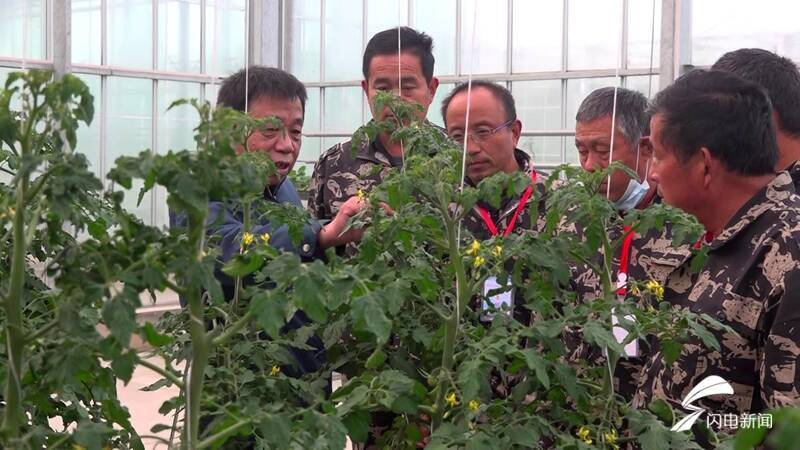 山东一村80、90后全部回村就业:在外干一个月不如回村一天休闲区蓝鸢梦想 - Www.slyday.coM 山东一村80、90后全部回村就业:在外干一个月不如回村一天休闲区蓝鸢梦想 - Www.slyday.coM