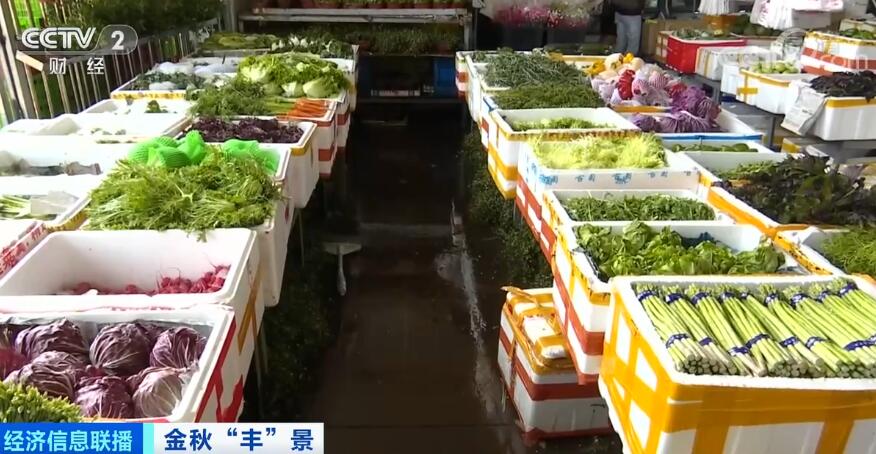 谷物基本自给、口粮绝对安全 中国人的饭碗牢牢端在自己手中休闲区蓝鸢梦想 - Www.slyday.coM 谷物基本自给、口粮绝对安全 中国人的饭碗牢牢端在自己手中休闲区蓝鸢梦想 - Www.slyday.coM