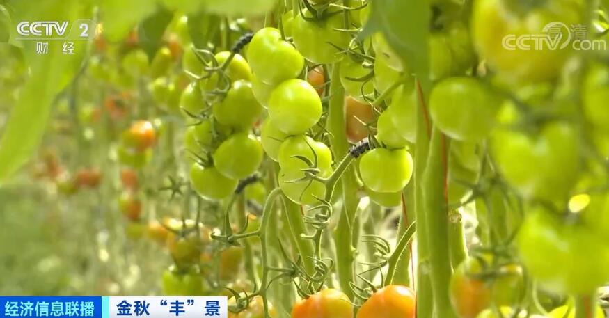 谷物基本自给、口粮绝对安全 中国人的饭碗牢牢端在自己手中休闲区蓝鸢梦想 - Www.slyday.coM 谷物基本自给、口粮绝对安全 中国人的饭碗牢牢端在自己手中休闲区蓝鸢梦想 - Www.slyday.coM