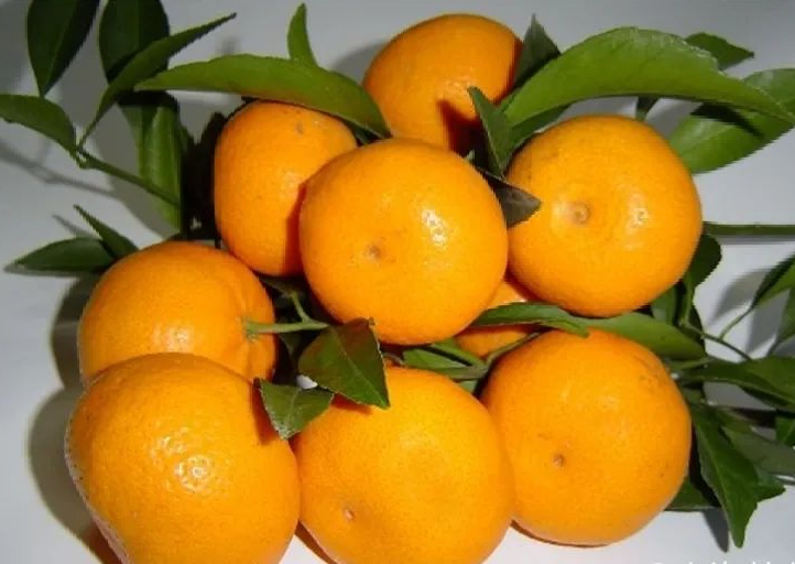 冲上热搜!它正当红,但一天吃最好别超过…休闲区蓝鸢梦想 - Www.slyday.coM 冲上热搜!它正当红,但一天吃最好别超过…休闲区蓝鸢梦想 - Www.slyday.coM