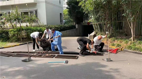 短短三个月,是什么让这个小区焕然一新?插图1 短短三个月,是什么让这个小区焕然一新?插图1