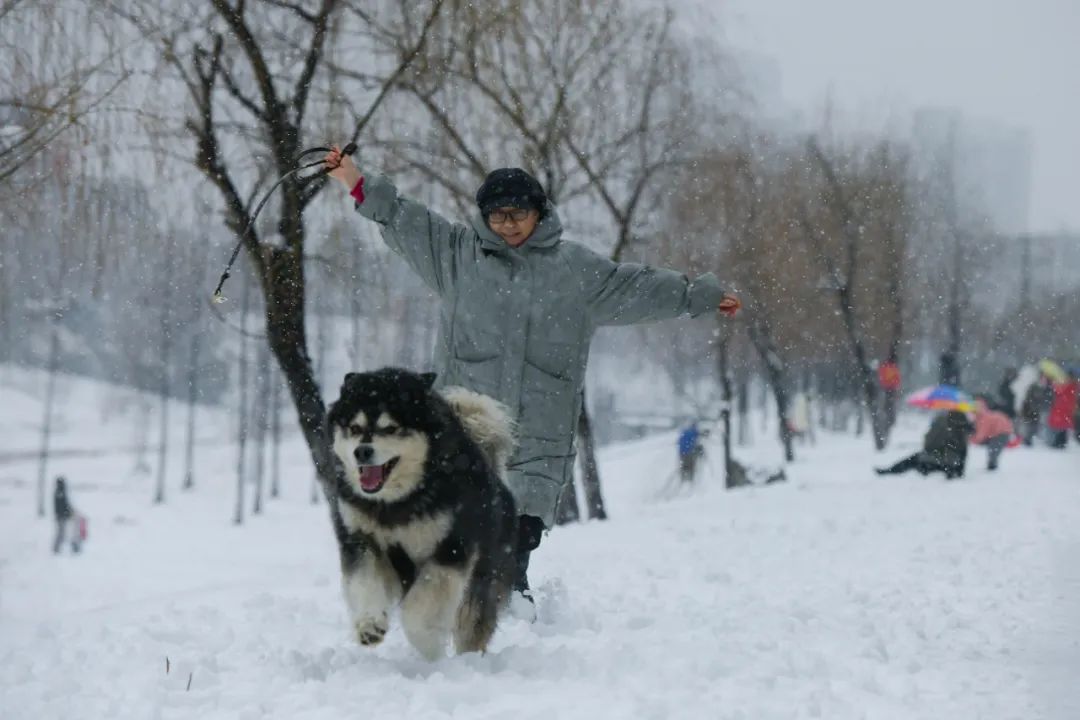 万万没想到,在这条爆款文章的评论区,大家刷起知识储备来了!休闲区蓝鸢梦想 - Www.slyday.coM 万万没想到,在这条爆款文章的评论区,大家刷起知识储备来了!休闲区蓝鸢梦想 - Www.slyday.coM