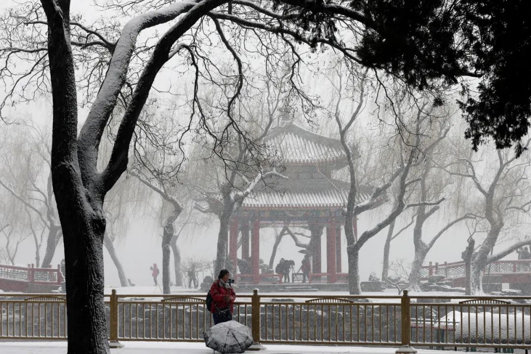 万万没想到,在这条爆款文章的评论区,大家刷起知识储备来了!休闲区蓝鸢梦想 - Www.slyday.coM 万万没想到,在这条爆款文章的评论区,大家刷起知识储备来了!休闲区蓝鸢梦想 - Www.slyday.coM