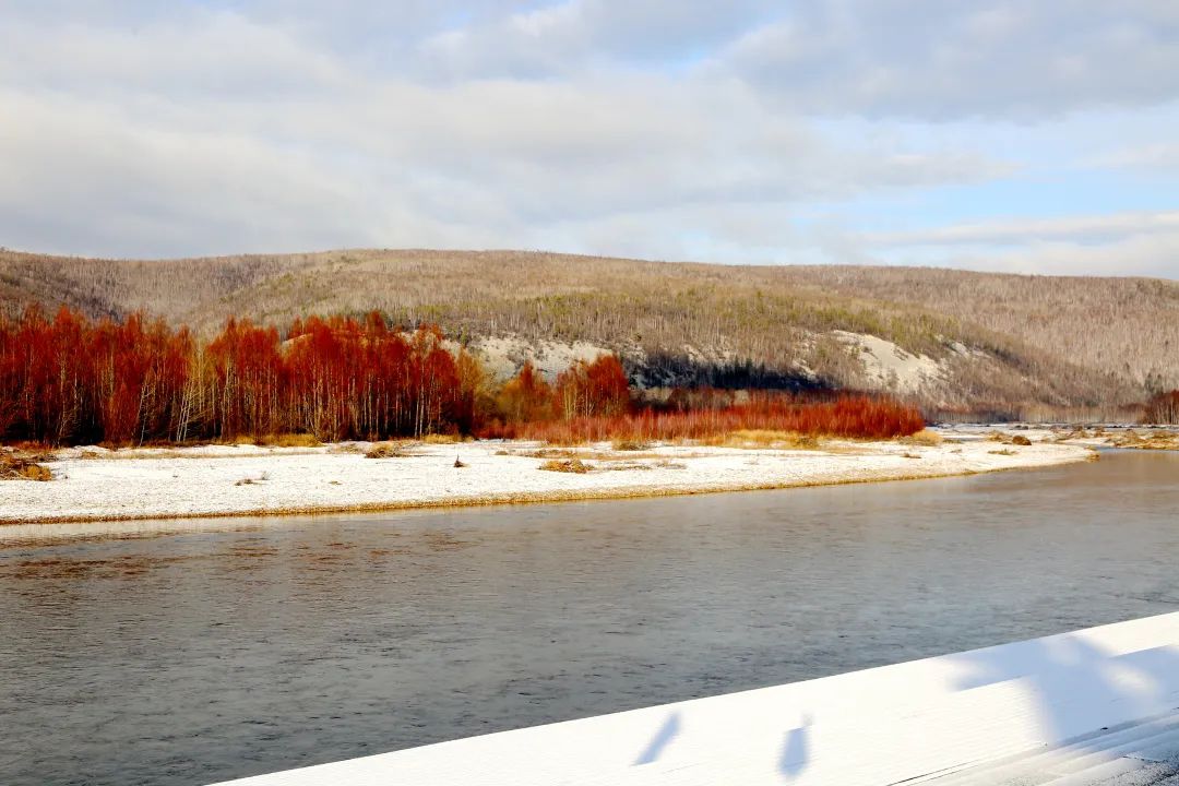 万万没想到,在这条爆款文章的评论区,大家刷起知识储备来了!休闲区蓝鸢梦想 - Www.slyday.coM 万万没想到,在这条爆款文章的评论区,大家刷起知识储备来了!休闲区蓝鸢梦想 - Www.slyday.coM