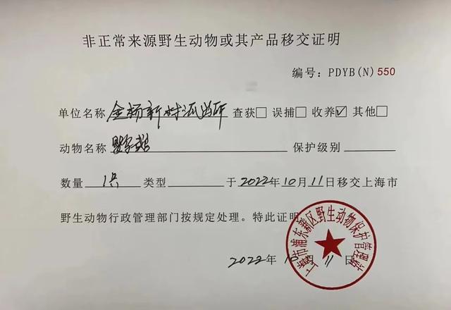 【我为群众办实事】家中来了身份特殊的“不速客”休闲区蓝鸢梦想 - Www.slyday.coM 【我为群众办实事】家中来了身份特殊的“不速客”休闲区蓝鸢梦想 - Www.slyday.coM