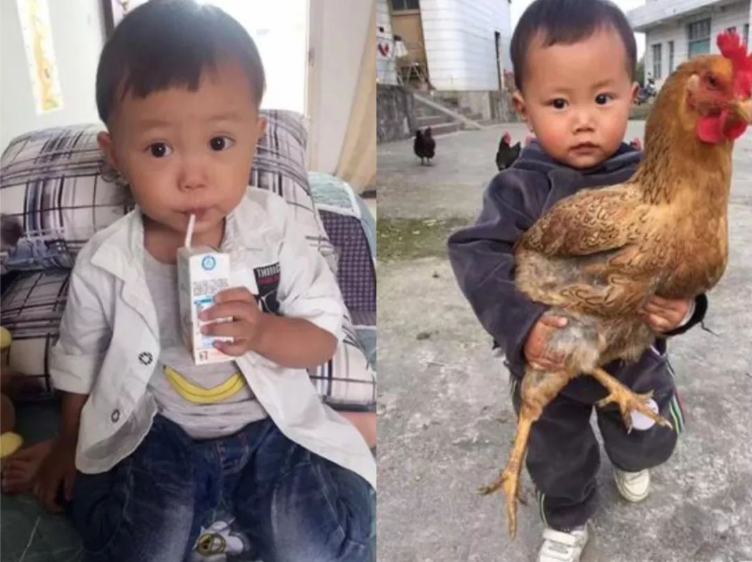 老人带娃的路子有多野?看完我服了哈哈哈!休闲区蓝鸢梦想 - Www.slyday.coM 老人带娃的路子有多野?看完我服了哈哈哈!休闲区蓝鸢梦想 - Www.slyday.coM