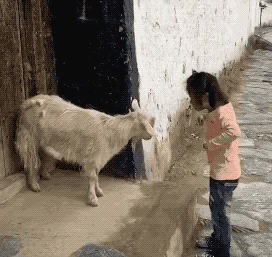 老人带娃的路子有多野?看完我服了哈哈哈!休闲区蓝鸢梦想 - Www.slyday.coM 老人带娃的路子有多野?看完我服了哈哈哈!休闲区蓝鸢梦想 - Www.slyday.coM