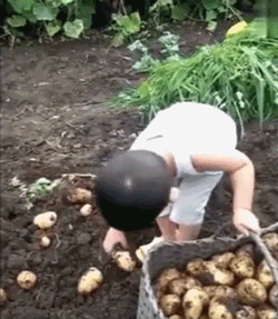 老人带娃的路子有多野?看完我服了哈哈哈!休闲区蓝鸢梦想 - Www.slyday.coM 老人带娃的路子有多野?看完我服了哈哈哈!休闲区蓝鸢梦想 - Www.slyday.coM