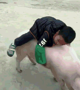 老人带娃的路子有多野?看完我服了哈哈哈!休闲区蓝鸢梦想 - Www.slyday.coM 老人带娃的路子有多野?看完我服了哈哈哈!休闲区蓝鸢梦想 - Www.slyday.coM