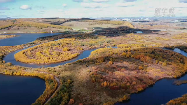 牙克石上门服务500三个小时可靠吗