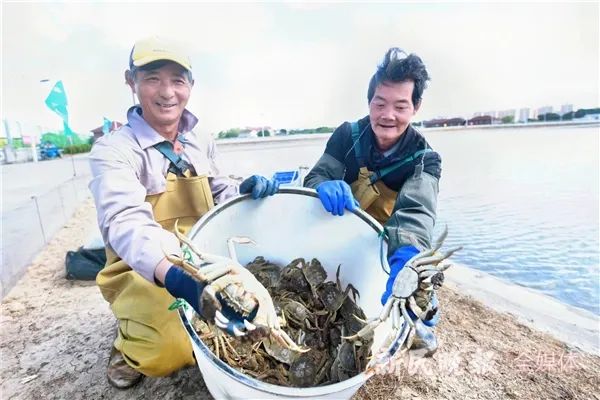 浦东大闸蟹开捕啦!今年产量价格如何,咸潮对口感有影响吗→休闲区蓝鸢梦想 - Www.slyday.coM 浦东大闸蟹开捕啦!今年产量价格如何,咸潮对口感有影响吗→休闲区蓝鸢梦想 - Www.slyday.coM