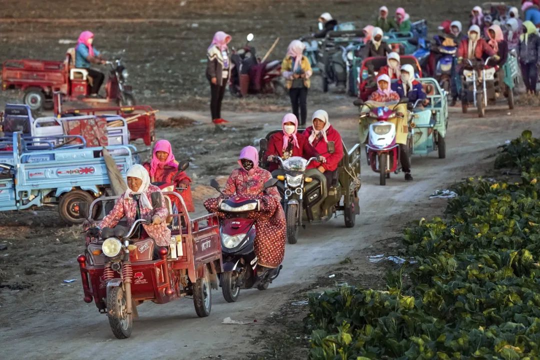 物阜民丰休闲区蓝鸢梦想 - Www.slyday.coM 物阜民丰休闲区蓝鸢梦想 - Www.slyday.coM