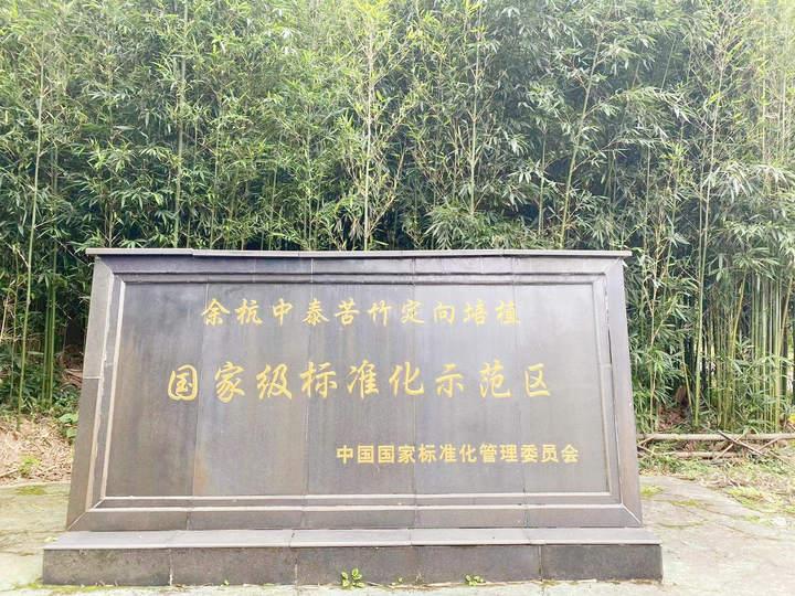 国内顶尖音乐学院毕业生聚集在杭州这个小山村,要干一番大事业休闲区蓝鸢梦想 - Www.slyday.coM 国内顶尖音乐学院毕业生聚集在杭州这个小山村,要干一番大事业休闲区蓝鸢梦想 - Www.slyday.coM