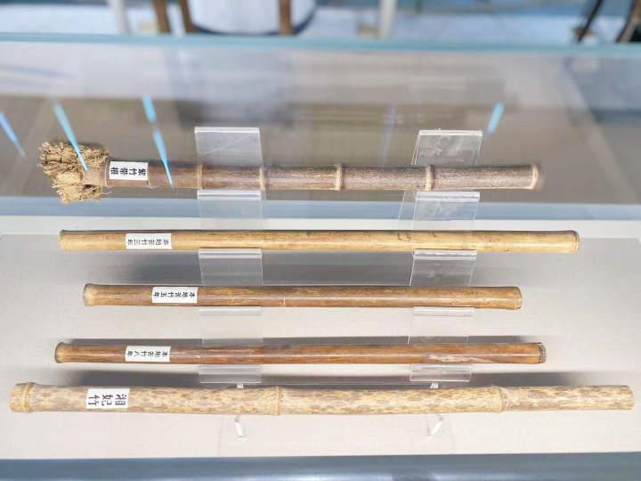 国内顶尖音乐学院毕业生聚集在杭州这个小山村,要干一番大事业休闲区蓝鸢梦想 - Www.slyday.coM 国内顶尖音乐学院毕业生聚集在杭州这个小山村,要干一番大事业休闲区蓝鸢梦想 - Www.slyday.coM