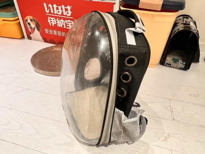 查出肿瘤晚期的猫主人把爱猫遗留到猫咖,留言不忍卒读:如我活到下个月,来看它休闲区蓝鸢梦想 - Www.slyday.coM 查出肿瘤晚期的猫主人把爱猫遗留到猫咖,留言不忍卒读:如我活到下个月,来看它休闲区蓝鸢梦想 - Www.slyday.coM