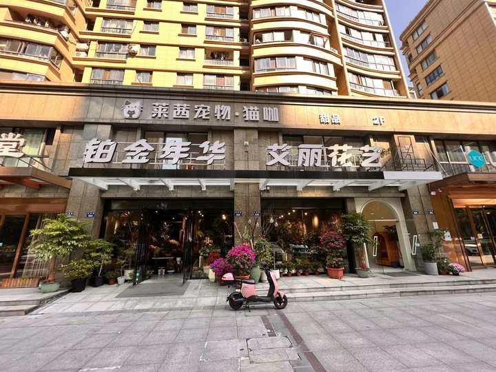 查出肿瘤晚期的猫主人把爱猫遗留到猫咖,留言不忍卒读:如我活到下个月,来看它休闲区蓝鸢梦想 - Www.slyday.coM 查出肿瘤晚期的猫主人把爱猫遗留到猫咖,留言不忍卒读:如我活到下个月,来看它休闲区蓝鸢梦想 - Www.slyday.coM