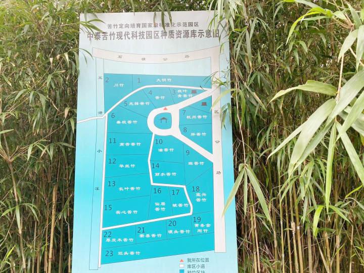 国内顶尖音乐学院毕业生聚集在杭州这个小山村,要干一番大事业休闲区蓝鸢梦想 - Www.slyday.coM 国内顶尖音乐学院毕业生聚集在杭州这个小山村,要干一番大事业休闲区蓝鸢梦想 - Www.slyday.coM