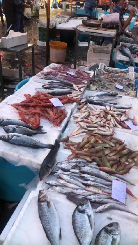 卡塔尼亚,美丽传说之外的浴火重生...