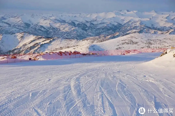 新闻刚刚发布：沈阳富龙快餐在什么地方｜详细地址与交通路线解析
