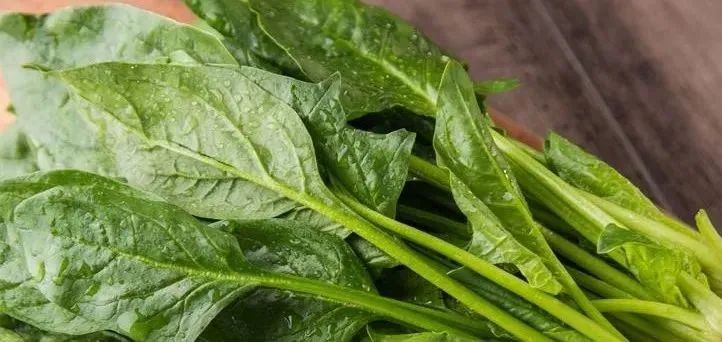 秋季不能错过的食物,促消化、健脾胃、强免疫~多样吃法教给你休闲区蓝鸢梦想 - Www.slyday.coM 秋季不能错过的食物,促消化、健脾胃、强免疫~多样吃法教给你休闲区蓝鸢梦想 - Www.slyday.coM