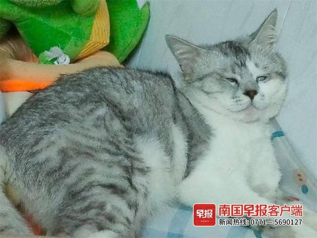 晚安十点(2022.10.20)丨就是要拍照记录啊!你的“糗”样,就是“铲屎官”爱的证明休闲区蓝鸢梦想 - Www.slyday.coM 晚安十点(2022.10.20)丨就是要拍照记录啊!你的“糗”样,就是“铲屎官”爱的证明休闲区蓝鸢梦想 - Www.slyday.coM