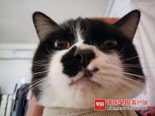 晚安十点(2022.10.20)丨就是要拍照记录啊!你的“糗”样,就是“铲屎官”爱的证明休闲区蓝鸢梦想 - Www.slyday.coM 晚安十点(2022.10.20)丨就是要拍照记录啊!你的“糗”样,就是“铲屎官”爱的证明休闲区蓝鸢梦想 - Www.slyday.coM