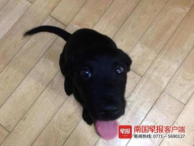 晚安十点(2022.10.20)丨就是要拍照记录啊!你的“糗”样,就是“铲屎官”爱的证明休闲区蓝鸢梦想 - Www.slyday.coM 晚安十点(2022.10.20)丨就是要拍照记录啊!你的“糗”样,就是“铲屎官”爱的证明休闲区蓝鸢梦想 - Www.slyday.coM